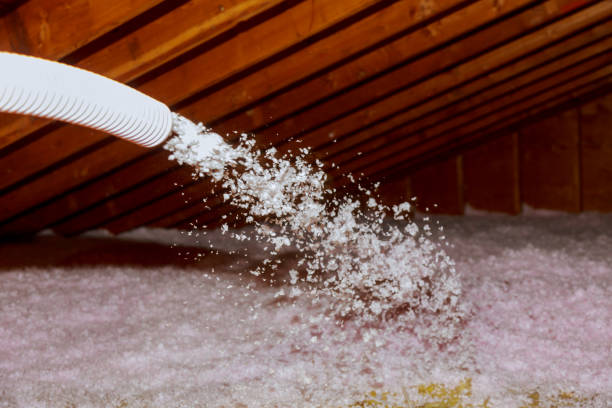 Best Professional Insulation Contractor  in Harveys Lake, PA