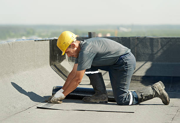 Best Home Insulation Services  in Harveys Lake, PA